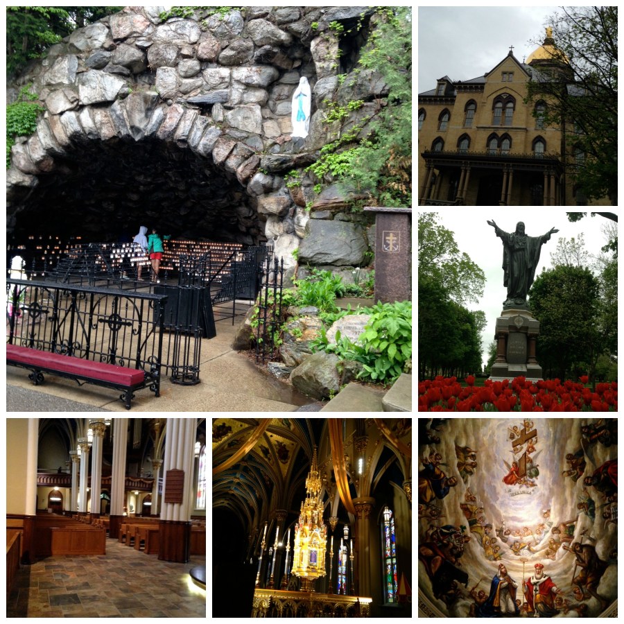 Notre Dame Collage