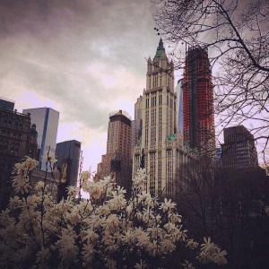 11098370_1593985064209018_186489857_n