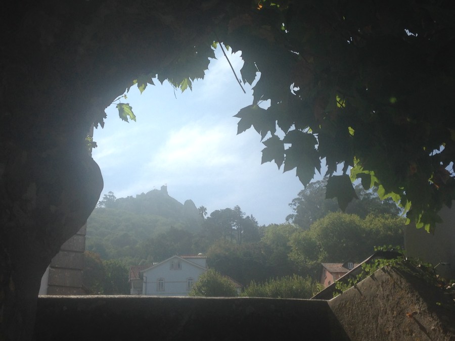 2016-09-07 11.54.56.jpg