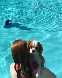 IMG_1605