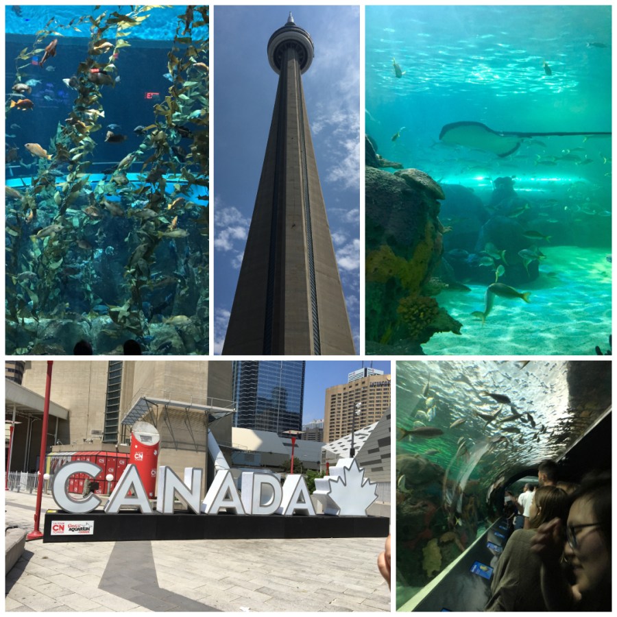 toronto1.jpg